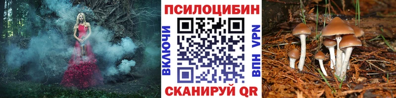 Галлюциногенные грибы мицелий  наркотики  Пыталово 